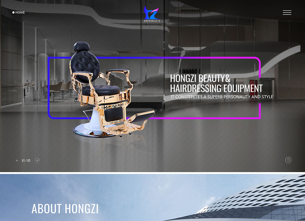 Ningbo Hongzi beauty&hairdressing Equipment Co.,Ltd 项目展示
