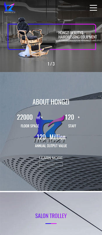 Ningbo Hongzi beauty&hairdressing Equipment Co.,Ltd 项目展示