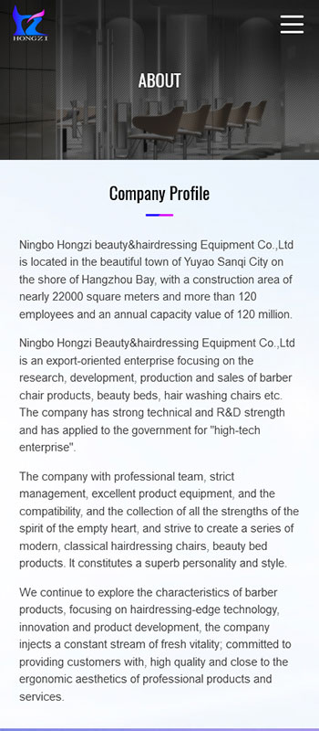 Ningbo Hongzi beauty&hairdressing Equipment Co.,Ltd 项目展示