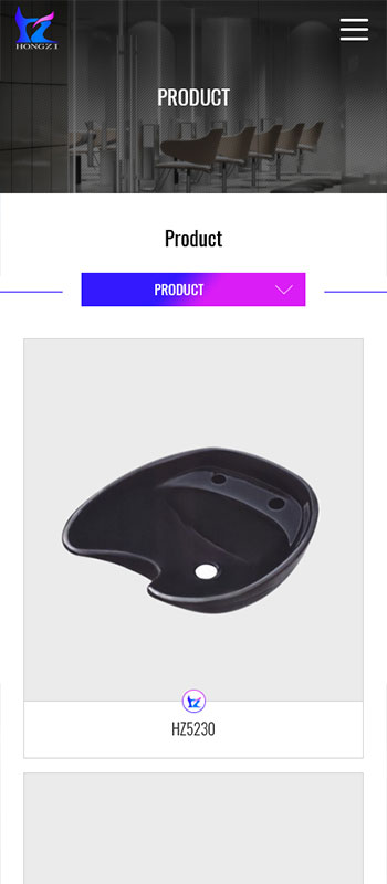 Ningbo Hongzi beauty&hairdressing Equipment Co.,Ltd 项目展示