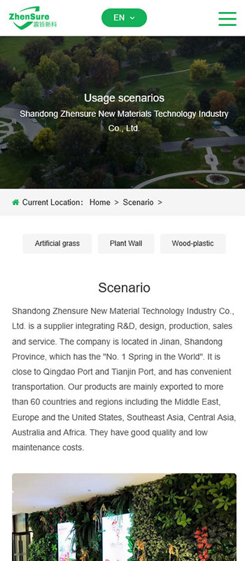 Shandong Zhensure New Materials Technology Industry Co., Ltd. 项目展示